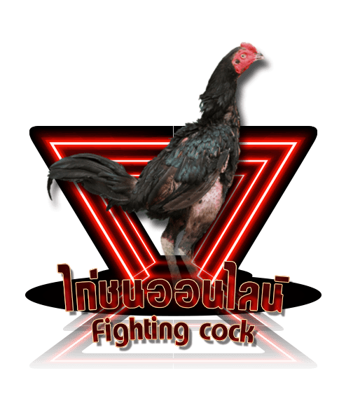 789betting ไก่ชน
